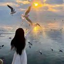 回不去了的时光