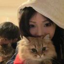 布里斯托求租