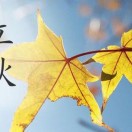 冒泡de鱼°°°