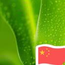 我的头像