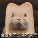 cruisejj3的头像-VAM®克苏恩资源社区