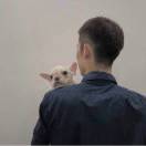 個人頭像
