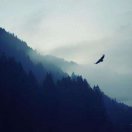 媛大宝宝