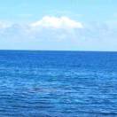 风清灬水起的头像 