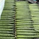 AAA小杜沂南蔬菜