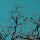 司培龙的头像-博士钣金 - www.bsbanjin.com