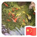 xu_稳