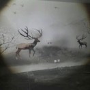 A壁布一切皆可贴的头像|狗道论坛