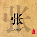 十一张的头像-WordPress主题模板-zibll子比主题