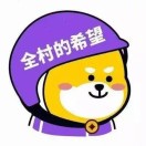 高级研发