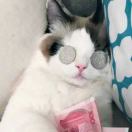 程程