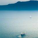 Xiang N的头像-熵减岛