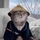 用户31797418的头像-秀琴曲谱网