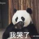 pang的头像-麦子社区