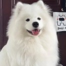 快乐小老虎的头像