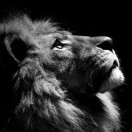 德哥的头像-博士钣金 - www.bsbanjin.com