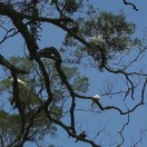 用户71563160的头像 - 校园论坛