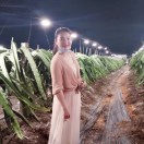 助考之星韦老师