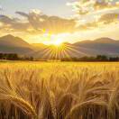 王姑娘的头像-副业吧