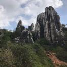 张掖市鼎盛伟农牧有限公司，李伟