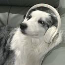 ㅤㅤㅤㅤㅤㅤㅤㅤ的头像-风行者社区