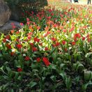 wx_大侠55