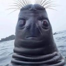 kklpop's Avatar