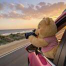 第二支羽毛的头像-博士钣金 - www.bsbanjin.com