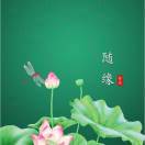 张泽有