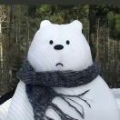 谢承博