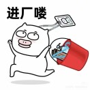 王亚辉