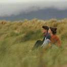 fertile soil. and sunny field的头像-熵减岛