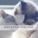 陈先生的头像