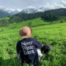 vip888的头像-小哥网