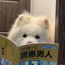 又萌又恬的头像-VAM®克苏恩资源社区