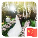 小心轻放的时光