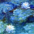 星幽蓝海_Steven-秀琴曲谱网