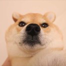 esvakrdz's Avatar