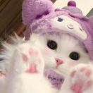 aasjdkajkl的头像-毕方资源网