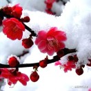 刘静的头像-归元之道