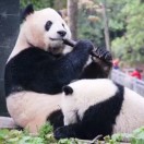 泉水叮咚