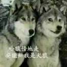 上课呢谢谢