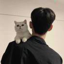 先说爱的人为什么先离开DJ版（音频田园）