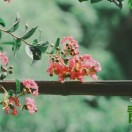 用户头标