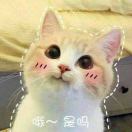 曹雅婷