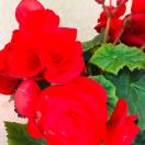 吃泡面不喝汤¥