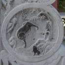 姜红