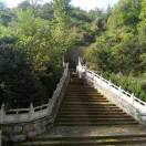 韩秋生. 晋AB9511.13327446022