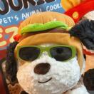 《两个我们》任立佳&千百顺