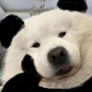 啊啊啊啊啊